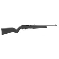 Ruger 10/22 Satin Black Carbine .22 LR 10rd MAGAZINE(1) 16.4