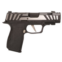 Sig Sauer P365 Axg Equinox 9mm 3.1 Sig Sauer P365 Axg Equinox 9mm 3.1